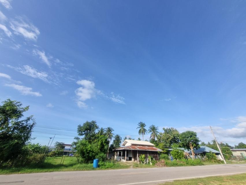 ที่ดินปากช่อง จังหวัดนครราชสีมา 5
