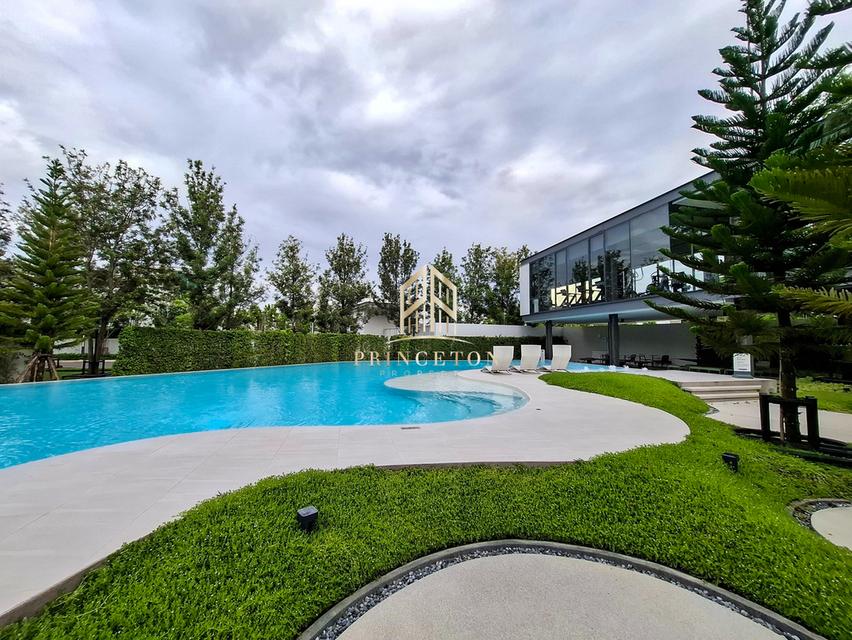 Luxury House for rent VIVE Krungthep Kreetha ให้เช่าบ้านเดี่ยว วีเว่ กรุงเทพกรีฑา ติดโรงเรียน Wellington 6