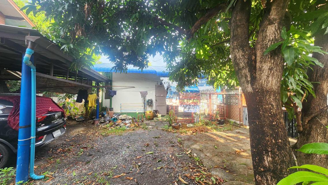 บ้าน+ที่ดิน 1