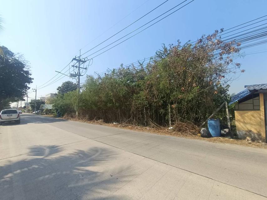 ขายที่ดิน 10 ไร่ ที่หน้าติดถนนคลอง6 2