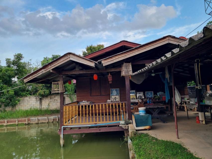 ขายที่ดิน 635 ตรว. พร้อมบ้านสวน และบ่อปลา 6