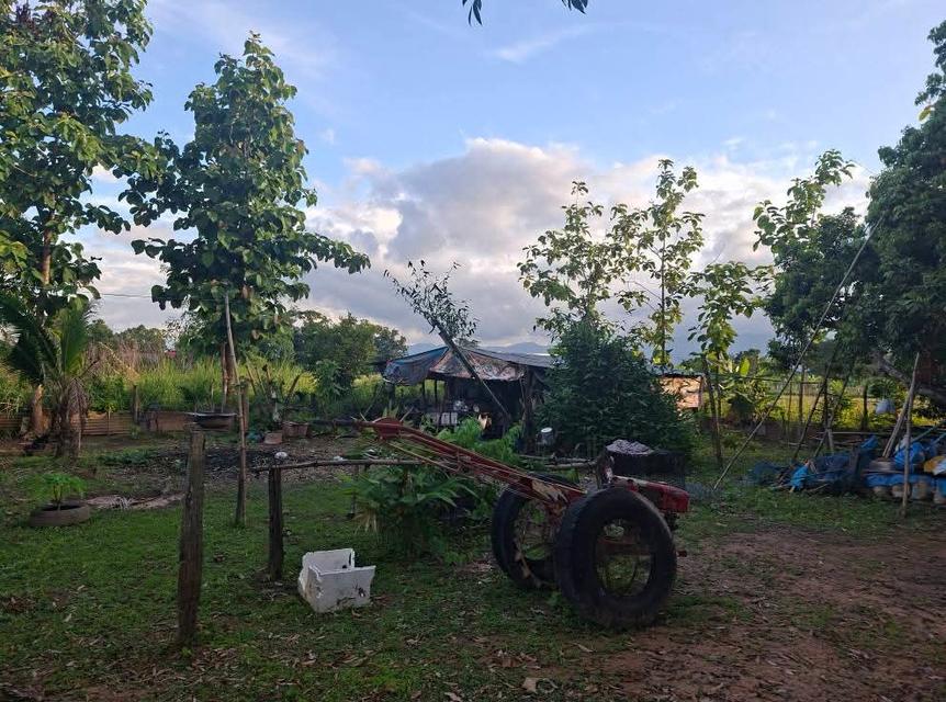 ขายที่ดินเจ้าของขายเอง บ้านเเม่ใจ อ.เเม่ใจ จ.พะเยา 5