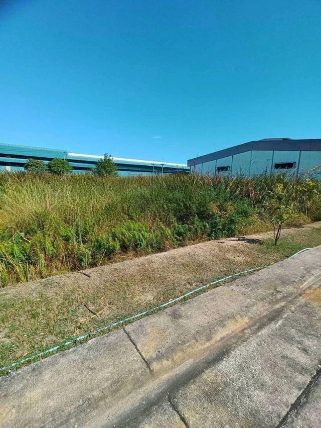 ขาย โรงงาน บ้านบึง ชลบุรี 24 ไร่ 10,000 ตรม. ผังม่วงลาย เริ่มดำเนินกิจการได้ทันที 4