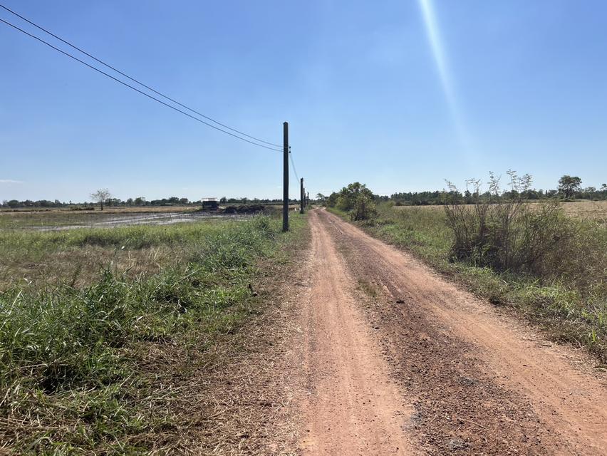 ขายที่ดิน 1 ไร่ มีโฉนด อ.ปากพลี ขายพร้อมโอน 420,000 บาท 11