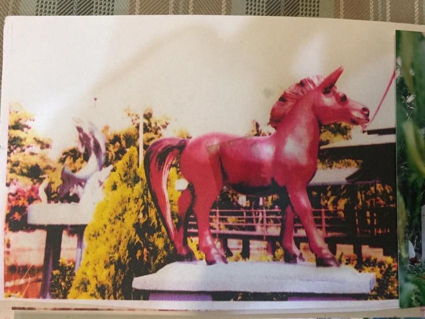 ที่ดินสวน น้ำรอบ สามพราน นครปฐม 10