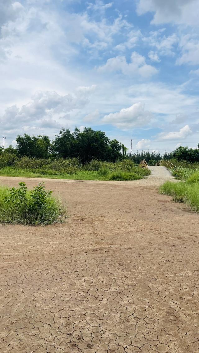 ขายที่ดินนครนายก (คลอง 15) เนื้อที่ 22-0-67.6 ไร่ 2