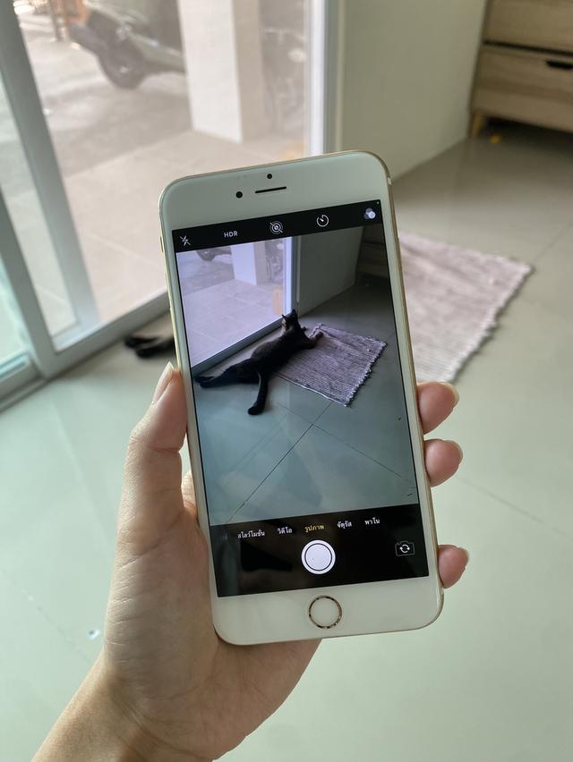 iphone6s plus /16 gb