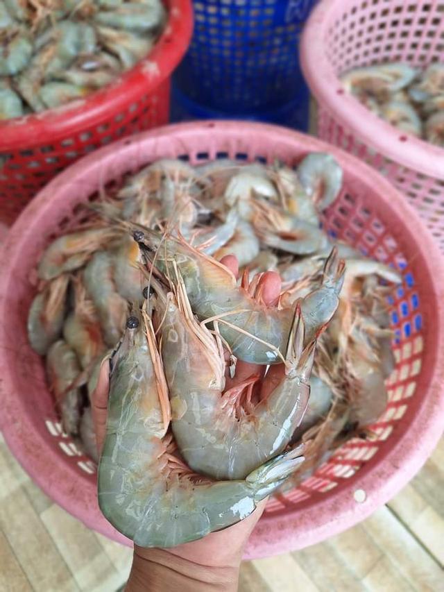 กุ้งแช่บ๊วย มีเนื้อละเอียด อร่อย 2