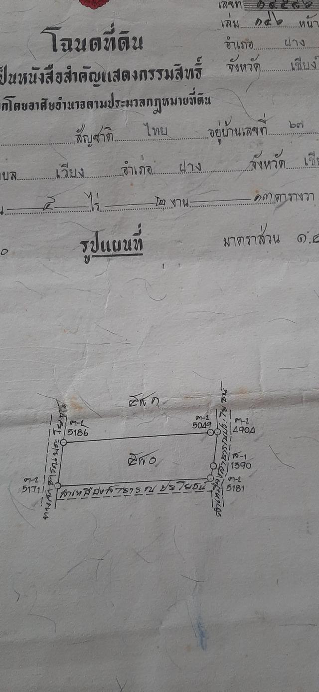 ขายที่ดินเปล่าปลูกบ้าน,ทำนา,ทำสวนได้ตลอดปี 1