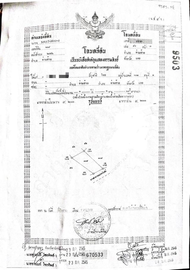 ขายที่ดิน โฉนดครุฑแดง (เจ้าของขายเอง) ที่บ้านหนองฟ้าแลบ อ.ด่านซ้าย  2