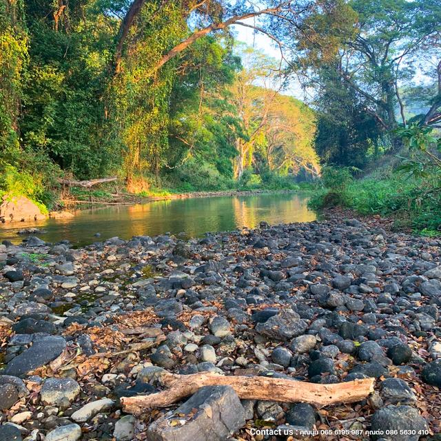 ขายที่ดินติดลำน้ำ เชียงใหม่ ดอยสะเก็ด 9