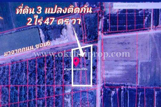 ที่ดิน ถนน3111 ต.ห่อหมก อ.บางไทร จ.อยุธยา 9