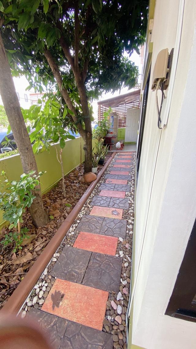 บ้าน ทาวน์เฮ้าส์ แถวประเวศ 6