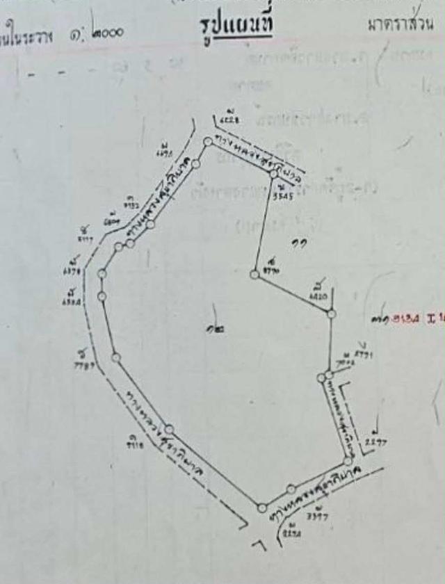 ขายที่ดิน 30 ไร่ ผังสีเหลือง ต.ห้วยใหญ่ อ.บางละมุง จ.ชลบุรี 6