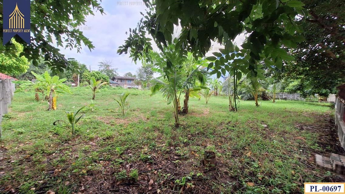 ขายที่ดินถมแล้ว ชวนชื่นพาร์ควิลล์ ทวีวัฒนา ตลิ่งชัน บางระมาด 7