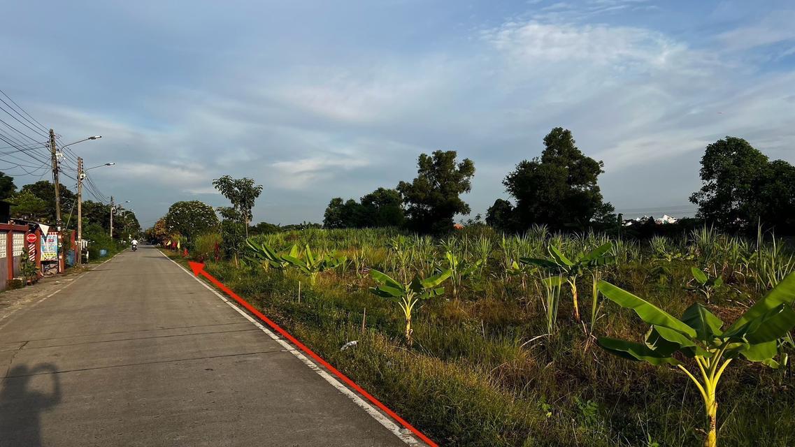 ขายที่ดินเปิดแปลงใหม่ คลองสาม  คลองหลวง ปทุมธานี 100 ตารางวาเพียง  8.5 แสนบาท 7