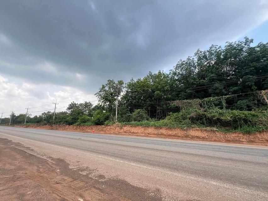 ขายที่ดินอำเภอเสิงสางจังหวัดนครราชสีมาติดถนนราชสีมาโชคชัย224 บ้านสระประทีป อำเภอเสิงสางอำเภอ จังหวัดนครราชสีมา ขนาดที่ดิน 30 ไร่ 2 งาน  2