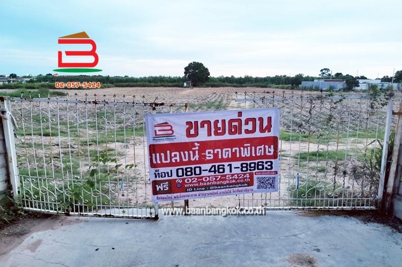 ที่ดินเปล่า เนื้อที่ 21-1-3 ไร่ ถนนพยูน ซอย4 (บ้านฉาง ระยอง) ถ.บูรพาพัฒน์ ต.พลา อ.บ้านฉาง จ.ระยอง 1