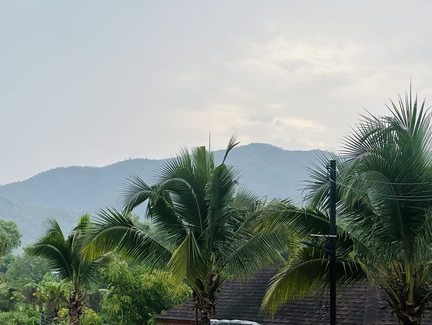 ที่ดิน สวนผลไม้ บ่อปลา 8