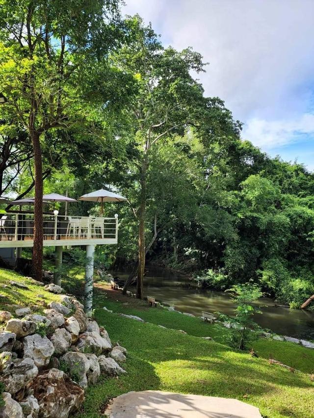 ขายบ้านที่ดินติดน้ำลำตะคอง บ้านบนเนินเขาใหญ่ หมูสี ปากช่อง 3ไร่ ที่ติดลำธารสวย ใกล้ถนนธนะรัขต์ คีรีมายา พักตากอากาศ หายาก วิวเขาสวยธรรมชาติ 0879074045 1