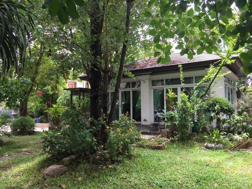 หมู่บ้านลดาวัลย์ 4น 5น 250 ตรว. บ้านอยู่ใจกลางหมู่บ้านลดาวัลย์ รามอินทรา กม2 สวย และ ใหญ่ที่สุดในโครงการ ขาย 80 ล้านบาท 20
