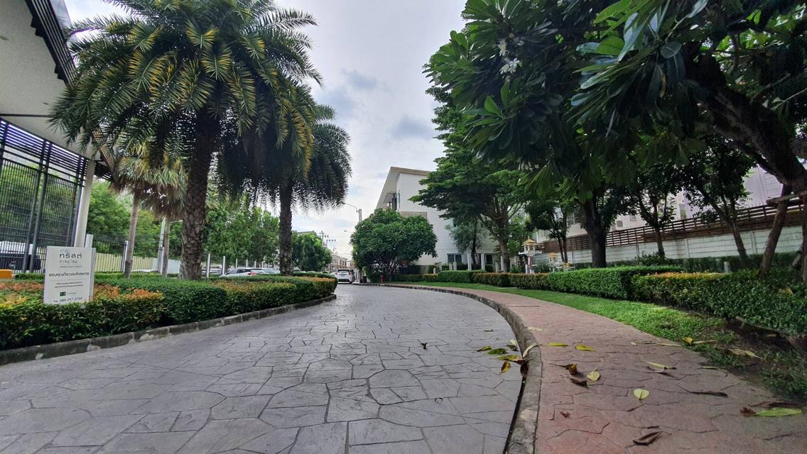 ขายบ้าน The Trust townhome (เกษตรนวมินทร์-ลาดพร้าว) ถนนนวลจันทร์ 12