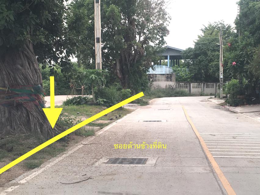 ขายที่ดินใกล้นิคมอมตะซิตี้ชลบุรี ติดถนนศุขประยูร เนื้อที่ 546ตรว.ติดถนน 3ด้าน ที่ดินห่างจากแยกดอนหัวฬ่อ 500เมตรใกล้ห้างโรบินสันดอนหัวฬ่อ ใกล้ดูโฮม 5