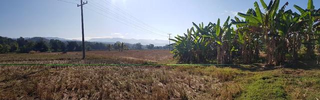 ขายที่ดินติดแม่น้ำแม่สะงา - แม่ฮ่องสอน 15