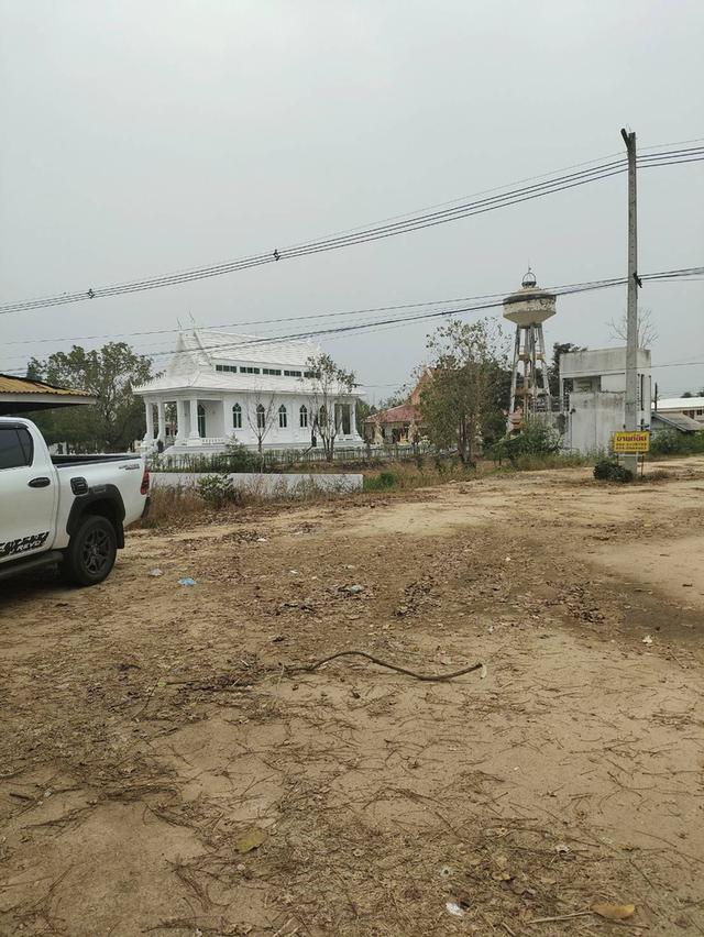 ขายที่ดินเปล่า ทำเลดี ติดถนน​ อำเภอวชิรบารมี จังหวัดพิจิตร  5