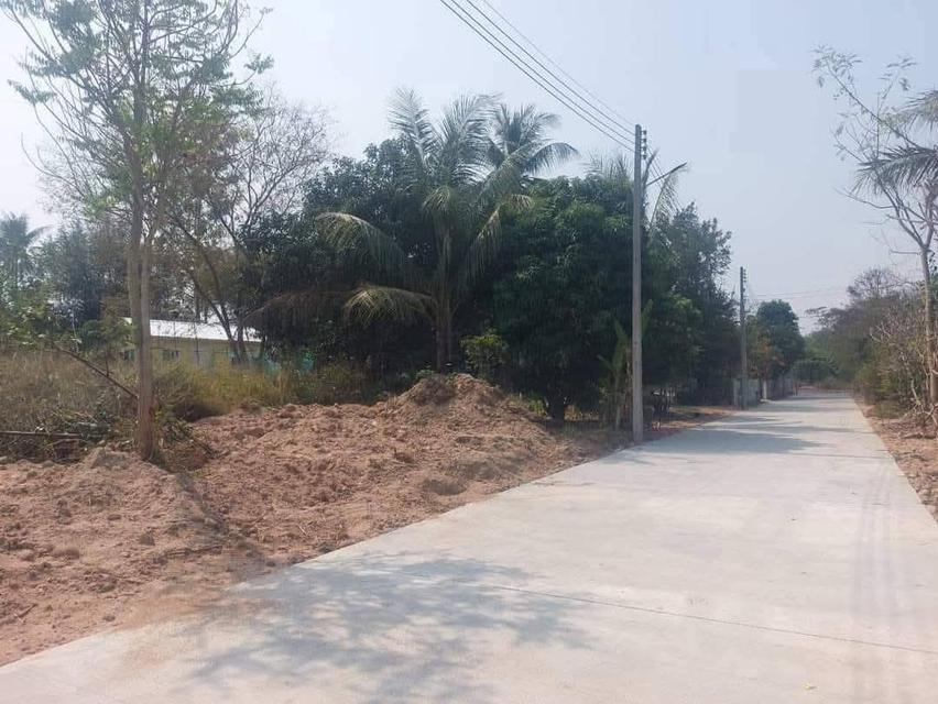 ที่ดิน 2 งาน หลังสำนักงานที่ดินศรีราชา หาคนร่วมแบ่งครึ่งได้ 1