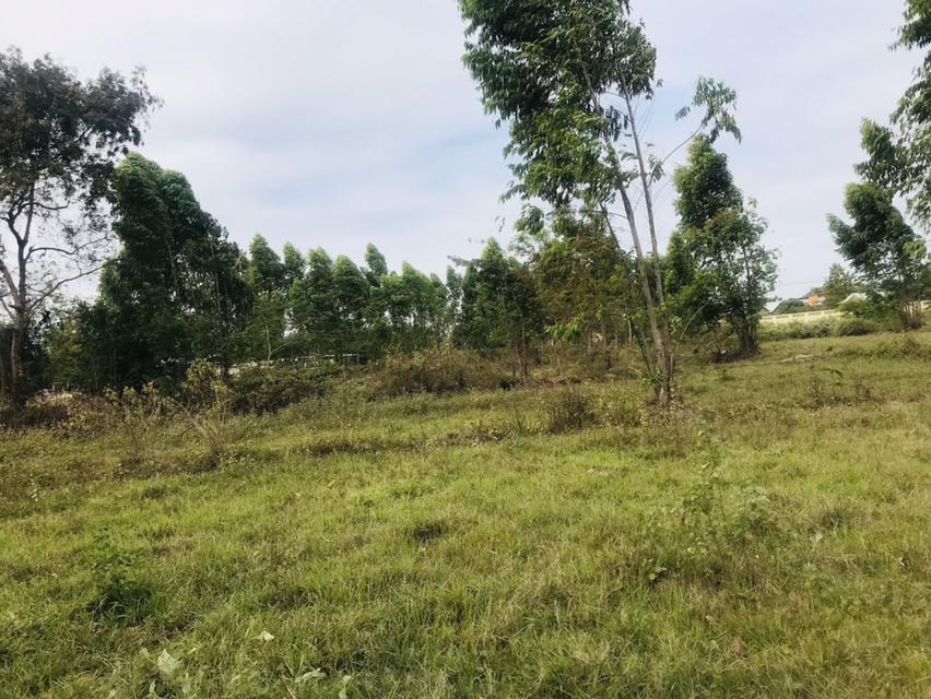 ที่ดินเปล่า ในจังหวัดอุดรธานี 8