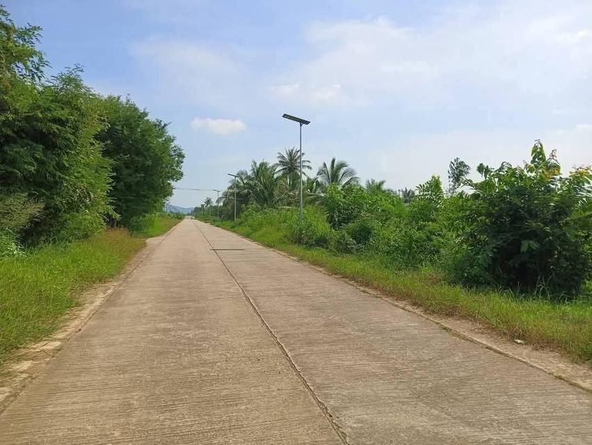 ที่ดินโฉนดครุฑแดงราคาถูกมาก23ไร่เศษ200,000 บาทต่อไร่ต่ำกว่าราคาประเมิน 3