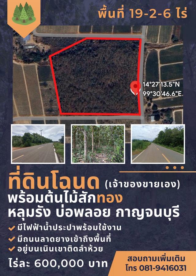 ที่ดินต้นสักทอง อ.บ่อพลอย จ.กาญจนบุรี 5