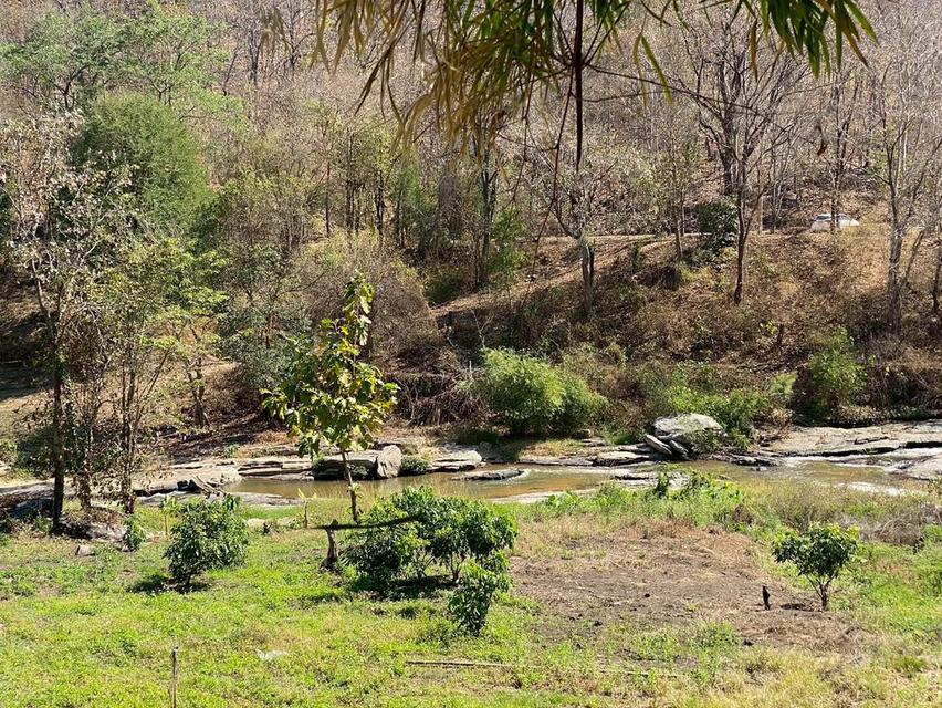 ขายที่ดินวิวธรรมชาติใกล้น้ำตกแม่ยะ อ.จอมทอง จ.ลำพูน 2