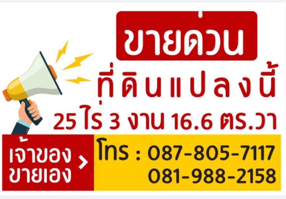 ขายที่ดิน 25 ไร่ ต.เมืองเก่า จ.พิจิตร 1