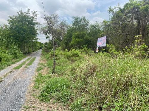 ที่ดินเปล่า 100 ตร.ว. พหลโยธิน87 ซอย6 ต.ประชาธิปัตย์ อ.ธัญบุรี จ.ปทุมธานี