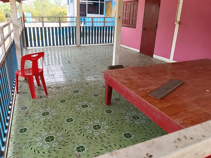 ขายด่วนบ้าน2หลังที่ดิน2ไร่เขตชุมชนติดถนนลาดยางน้ำไม่ท่วมไม่มีประวัติอยู่ไกล้ม. ราชมงคลสุวรรณภูมิสามชุกจ. สุพรรณขาย2. 55ล. สนใจ0894109810เจ้าของโดยตรง 4