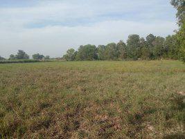 รูป ขายที่ดิน 5