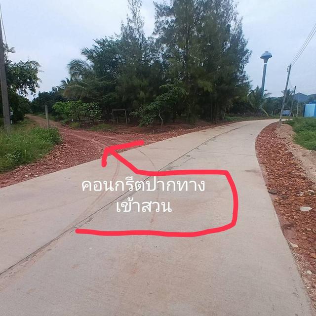 ขายที่ดิน 2 แปลง แปลงละ 45 ไร่ ต.ไร่ใหม่ อ.สามร้อยยอด จ.ประจวบคีรีขันธ์ 9
