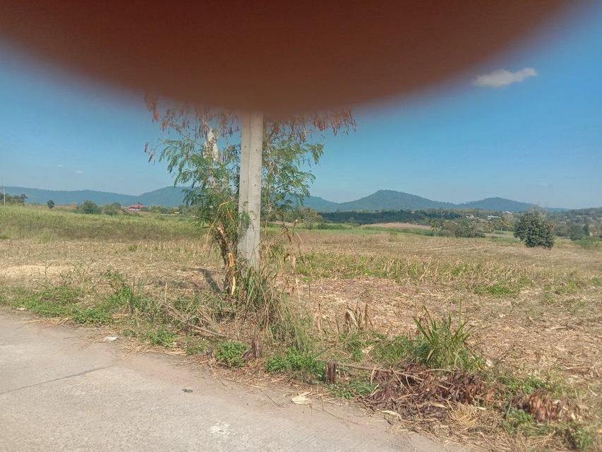 20 ไร่ ที่ดิน ด้านหลัง อำเภอ วังน้ำเขียว ขายยกแปลง 6