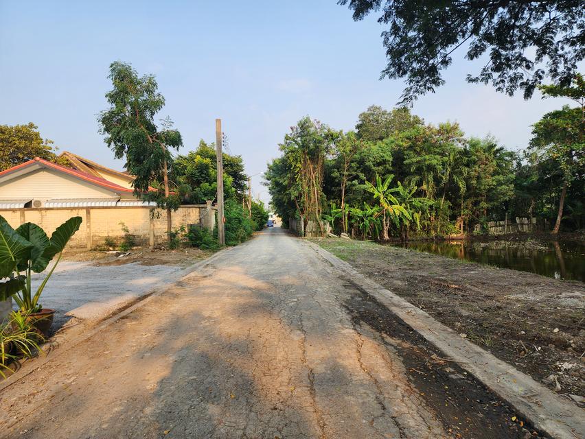 ที่ดินเปล่า 220ตรว. ริมคลองทวีวัฒนา กรุงเทพ 18