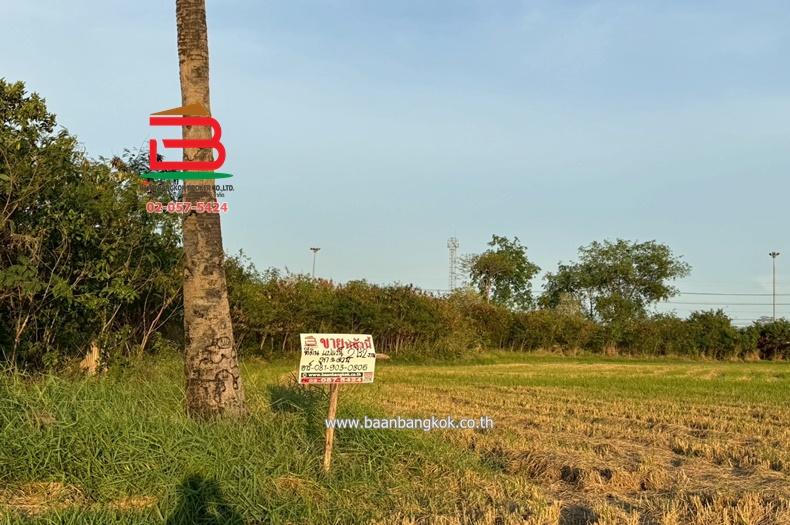  ที่ดินเปล่า ถนนปทุมธานี-บางปะหัน (347) เนื้อที่ 2-2-0 ไร่ ใกล้ตลาดพูนทรัพย์ ถนนปทุมธานี-บางปะหัน (347) ตำบลเชียงรากใหญ่ อำเภอสามโคก จังหวัดปทุมธานี 4