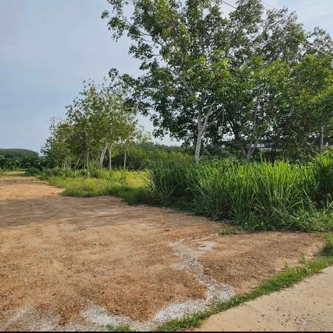 ให้เช่าที่ดินและขายที่ดินหนองใหญ่ชลบุรี 150 ไร่ พื้นที่สีม่วงลาย (ประมาณ 100 ไร่) พื้นที่สีเหลือง (ประมาณ 50 ไร่) 7