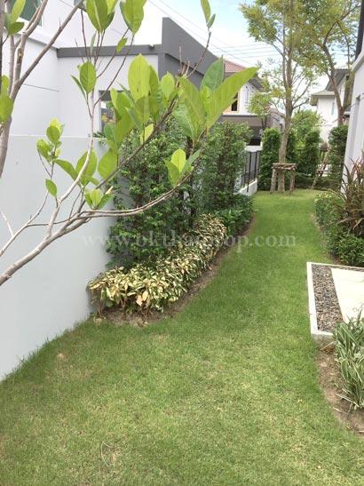 บ้านเดี่ยว หมู่บ้านพฤกษ์ลดา มหาชัย ถนนกิจมณี สมุทรสาคร 11