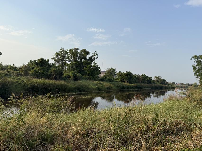 ขายที่ดินถมแล้ว วิวสวย ติดถนนใหญ่ ด้านหลังติดคลอง อ.วังทอง จ.พิษณุโลก 6