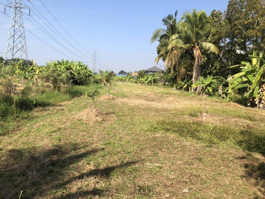 ที่ดิน 3 ไร่ 256 ตรว. ต.ท่าวังตาล อ.สารภี จังหวัดเชียงใหม่ 1