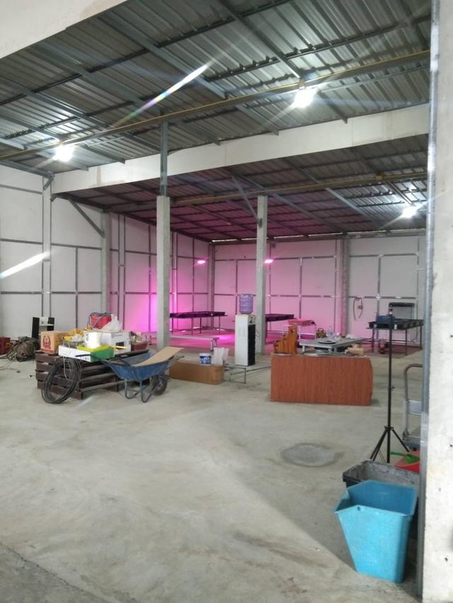 ที่ดินพร้อมจริงปลูกสร้าง 8