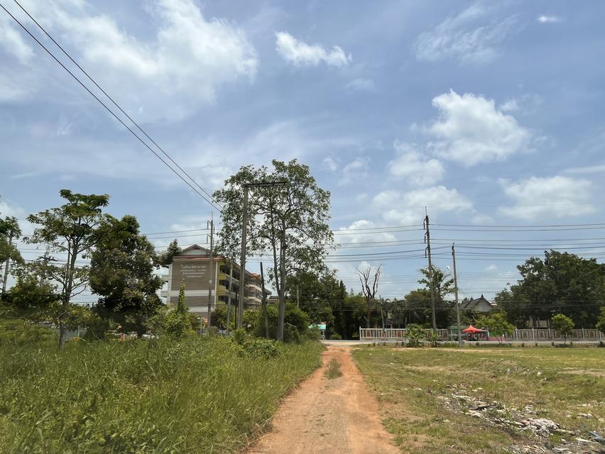 ขายที่ดิน หนองจอก 2 ไร่ 7