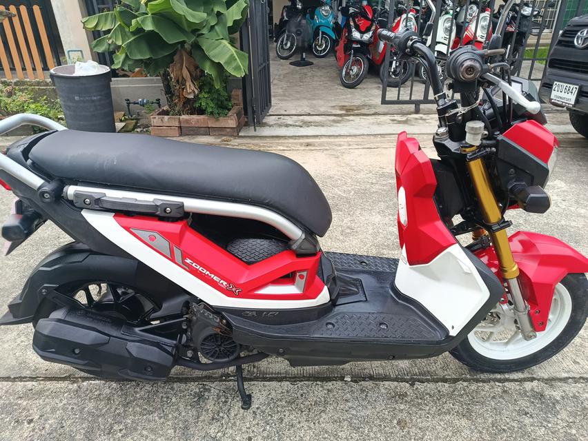 Zoomer -x  10
