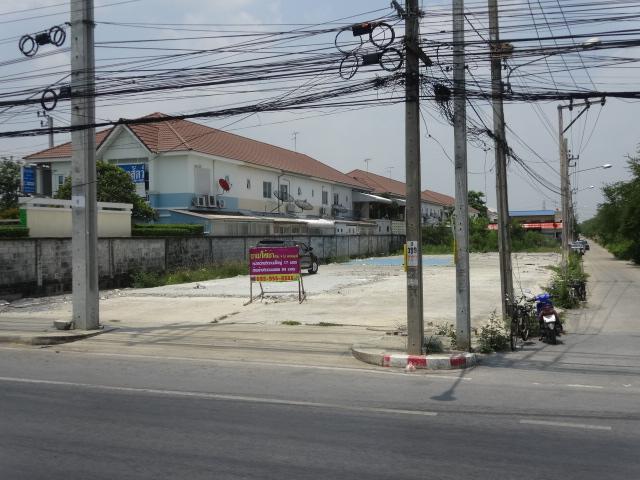 ที่ดินติดถนนใหญ่ แปลงมุม 1 ไร่ ตรงข้ามห้าง โกลบอลเฮ้าส์ ไทรน้อย  11
